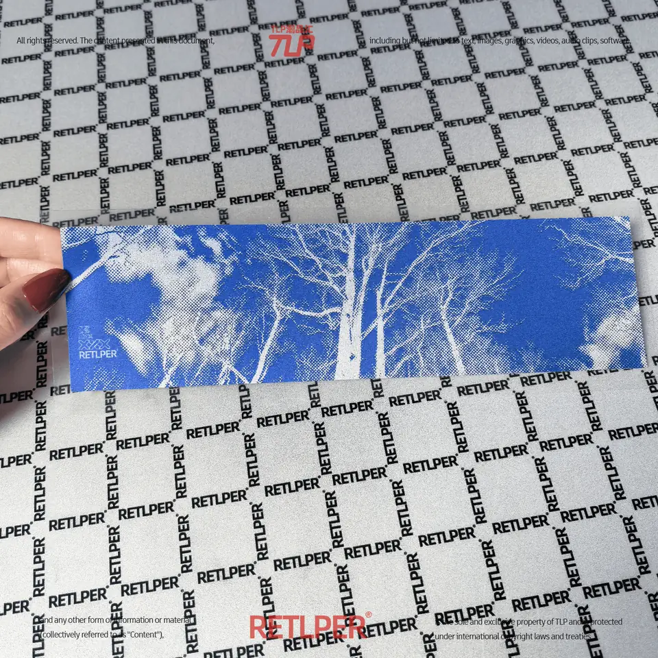 birch trees blue sky sticker gallery 2