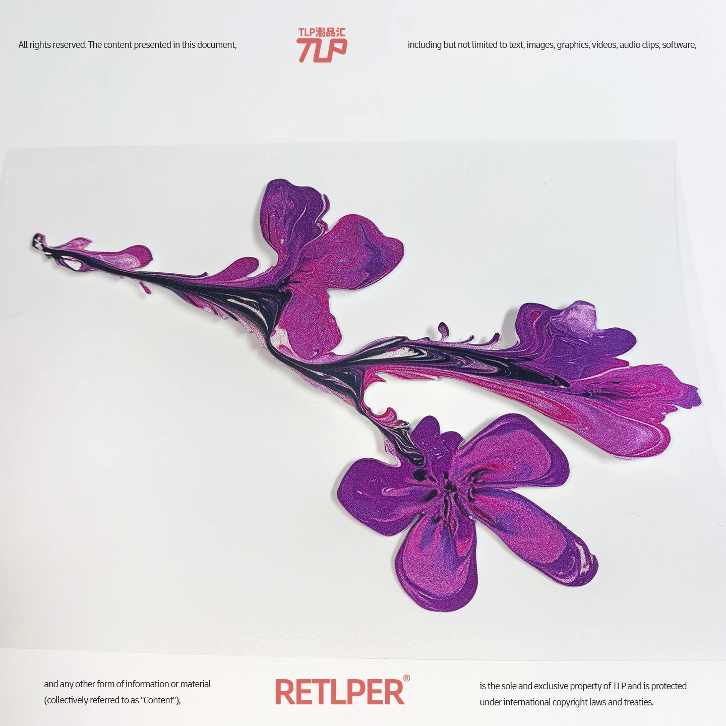 Purple-magenta fluid art plum blossom branch hollow-out sticker photographed on white