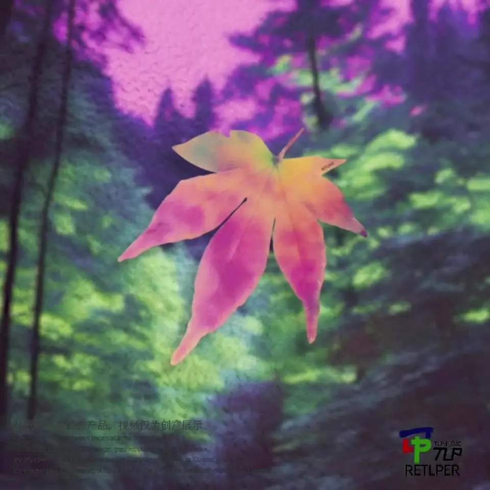 maple leaves ink wash hollow-out sticker gallery view 5