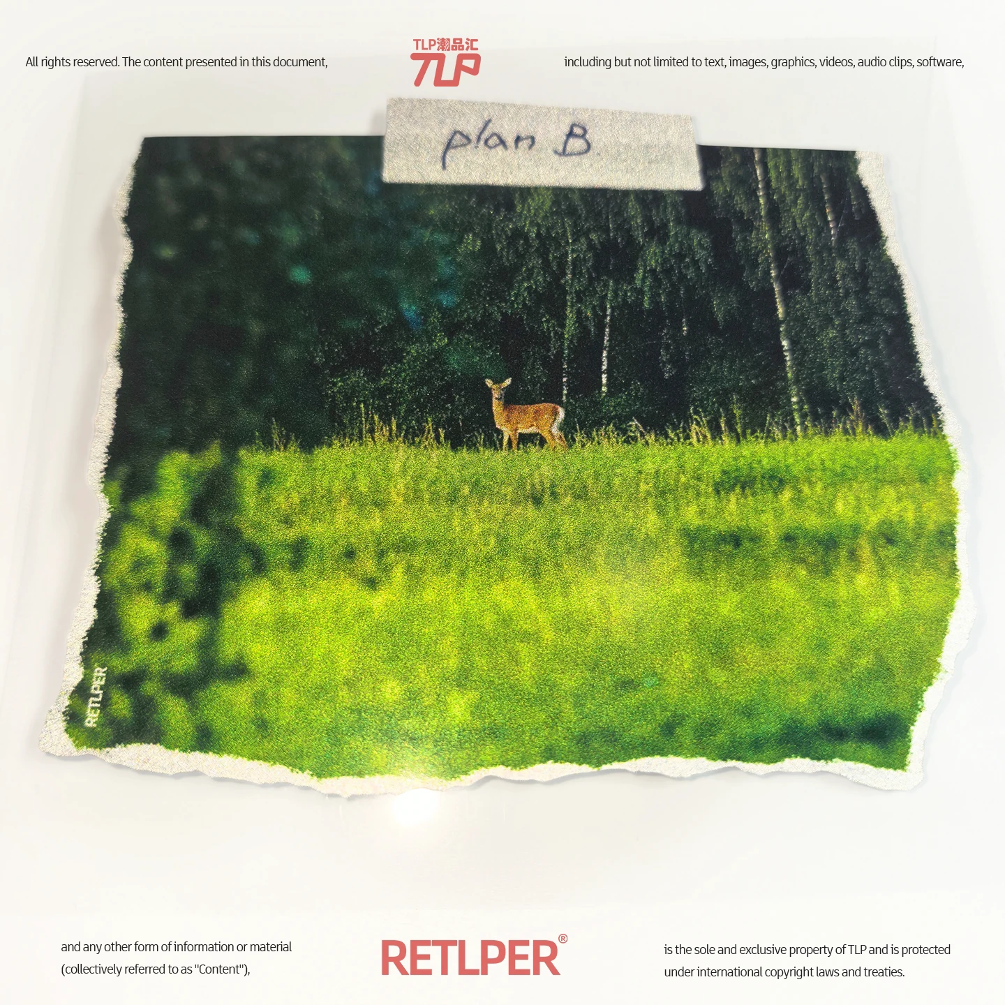 Plan B torn-edge reflective sticker showing a deer at the forest edge