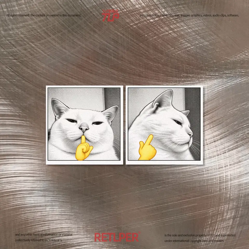 Sigma Cat expression stickers on a metallic surface